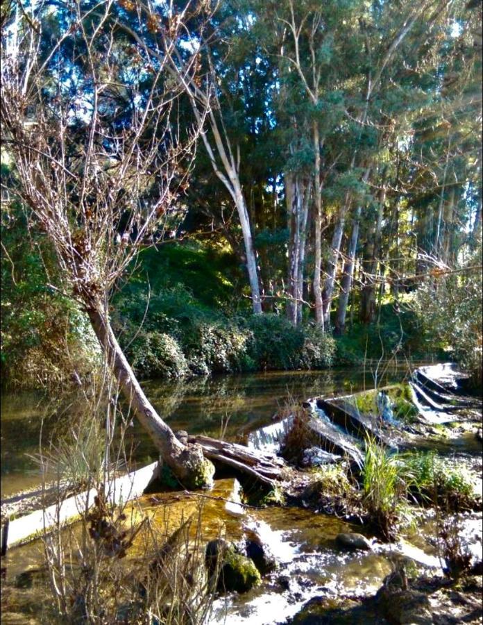 La Buhardilla De Torrecillas El Bosque Ngoại thất bức ảnh