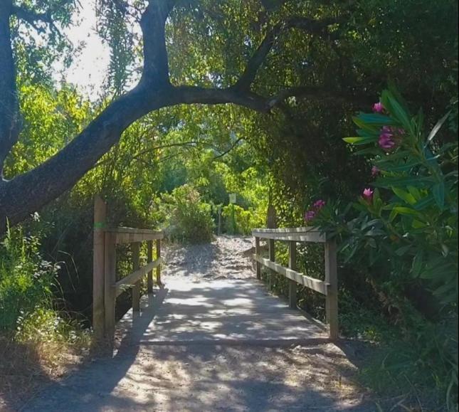 La Buhardilla De Torrecillas El Bosque Ngoại thất bức ảnh