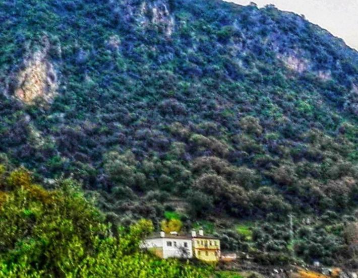 La Buhardilla De Torrecillas El Bosque Ngoại thất bức ảnh