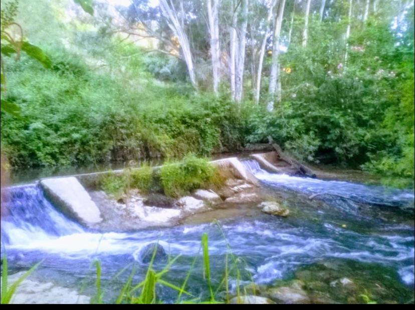 La Buhardilla De Torrecillas El Bosque Ngoại thất bức ảnh